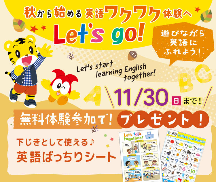 11月キャンペーンLP