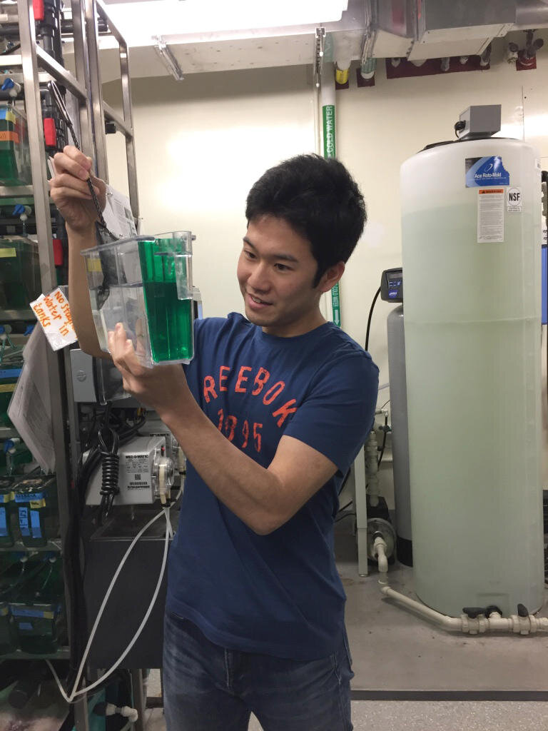 ゼブラフィッシュを飼育する水槽を手に実験中の山口さん
